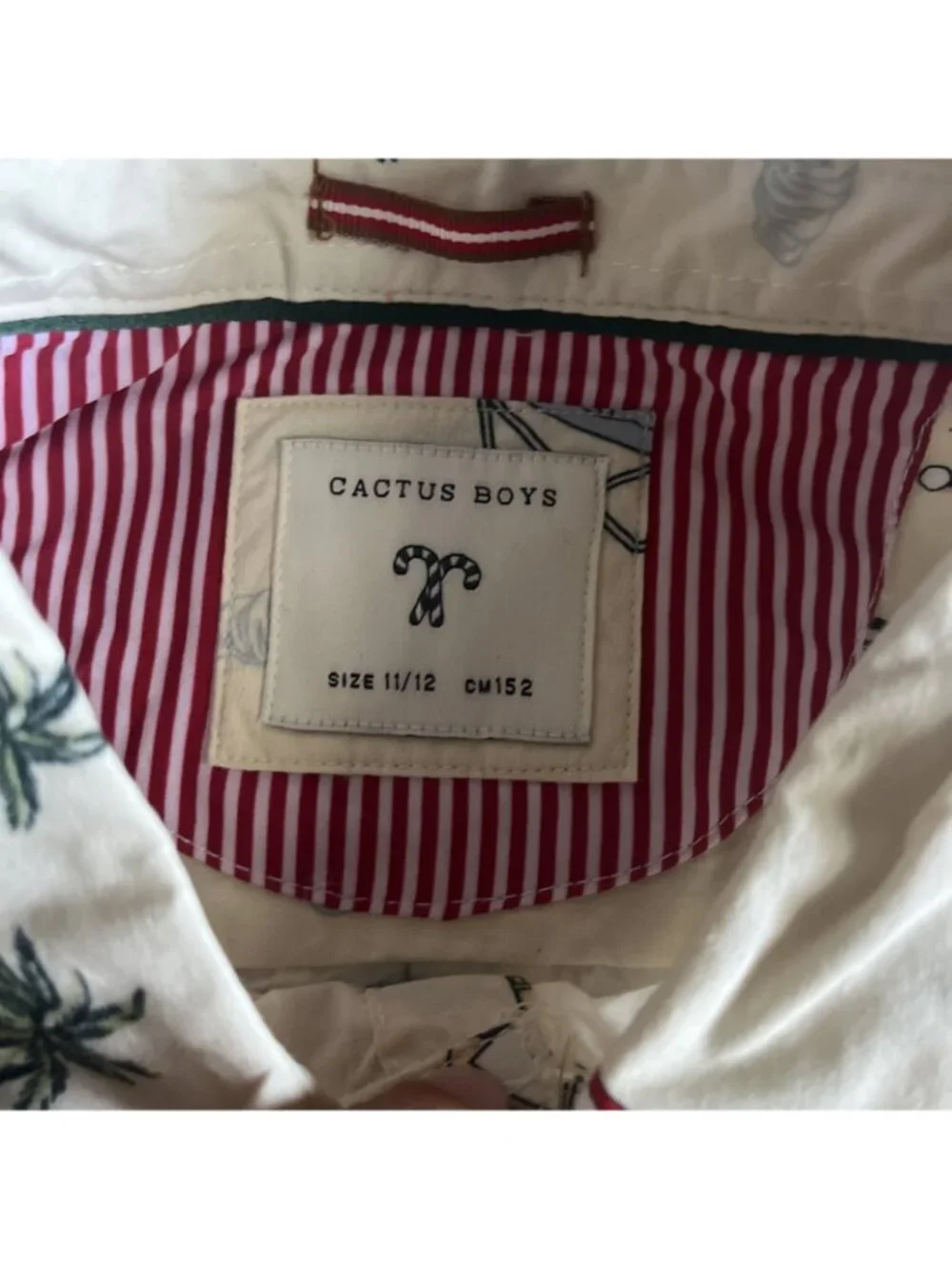 Cactus Boys brand new